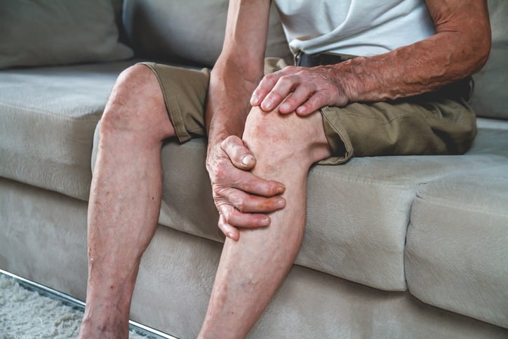 Pain in the legs and knees of an elderly senior. An old man massages his knees due to severe pain from arthritis and varicose veins